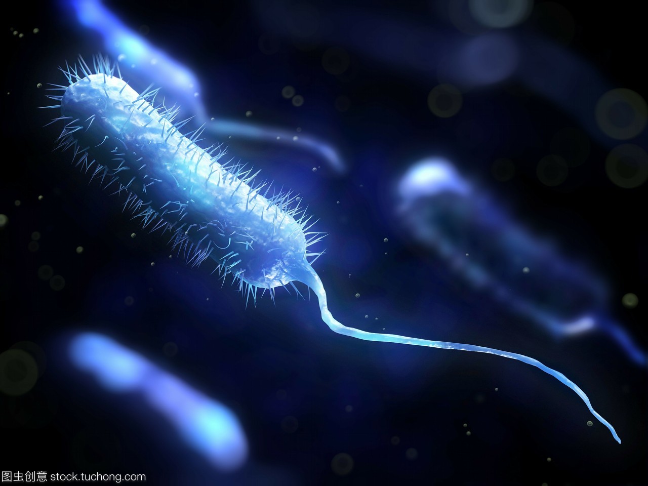 危險(xiǎn),粘貼,微生物,生物學(xué),概念,細(xì)菌學(xué),風(fēng)險(xiǎn),棍,healthcare,artwork,手機(jī),illustration,科技醫(yī)療,microbiology,棒,rod shape,infection,桿,細(xì)菌性的,植物學(xué),病菌,rod shaped,活力,dangerous,活躍,細(xì)菌,mobile,木棒,醫(yī)療保健,疾病,rod,生長,conceptual,尾巴,bacilli,pathogen,藝術(shù)品,微生物學(xué),bacillus,concept,bacteriology,microbe,active,