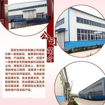 天竺葵純露 深層凈化肌膚，煥活水潤(rùn)光彩——藍(lán)玫丫廠家直銷(xiāo)美容院裝專(zhuān)業(yè)解析